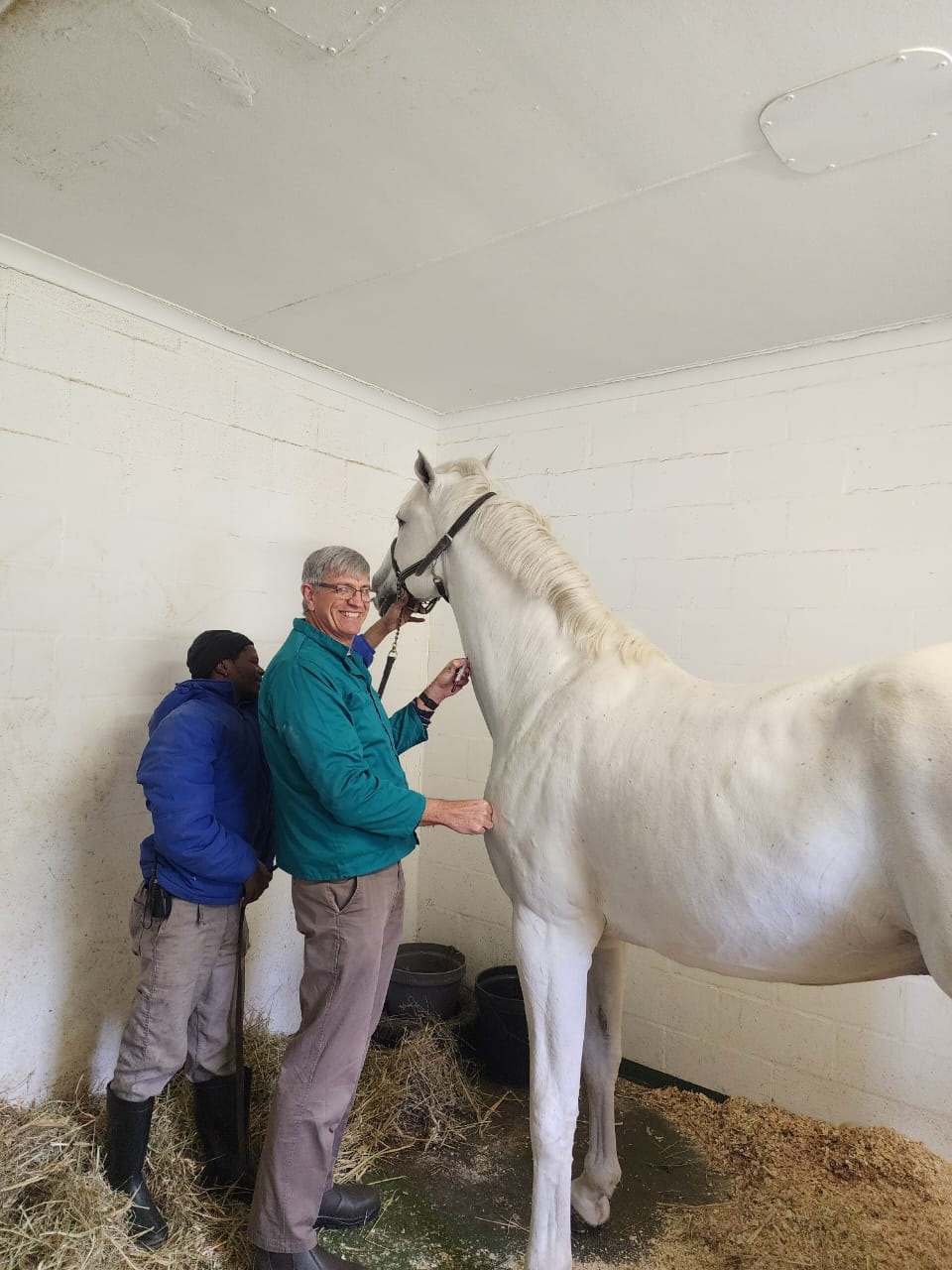 Horses prior departure