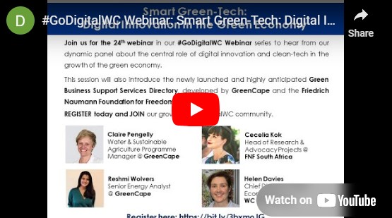 Screengrab of webinar_Smart Green Tech Digital Innovation in the Green Economy