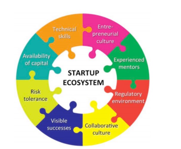 Startup ecosystem