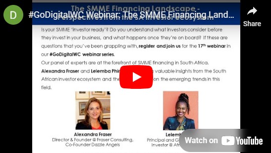Screengrab of webinar_The-smme-financing-landscape-in-south-africa.jpg