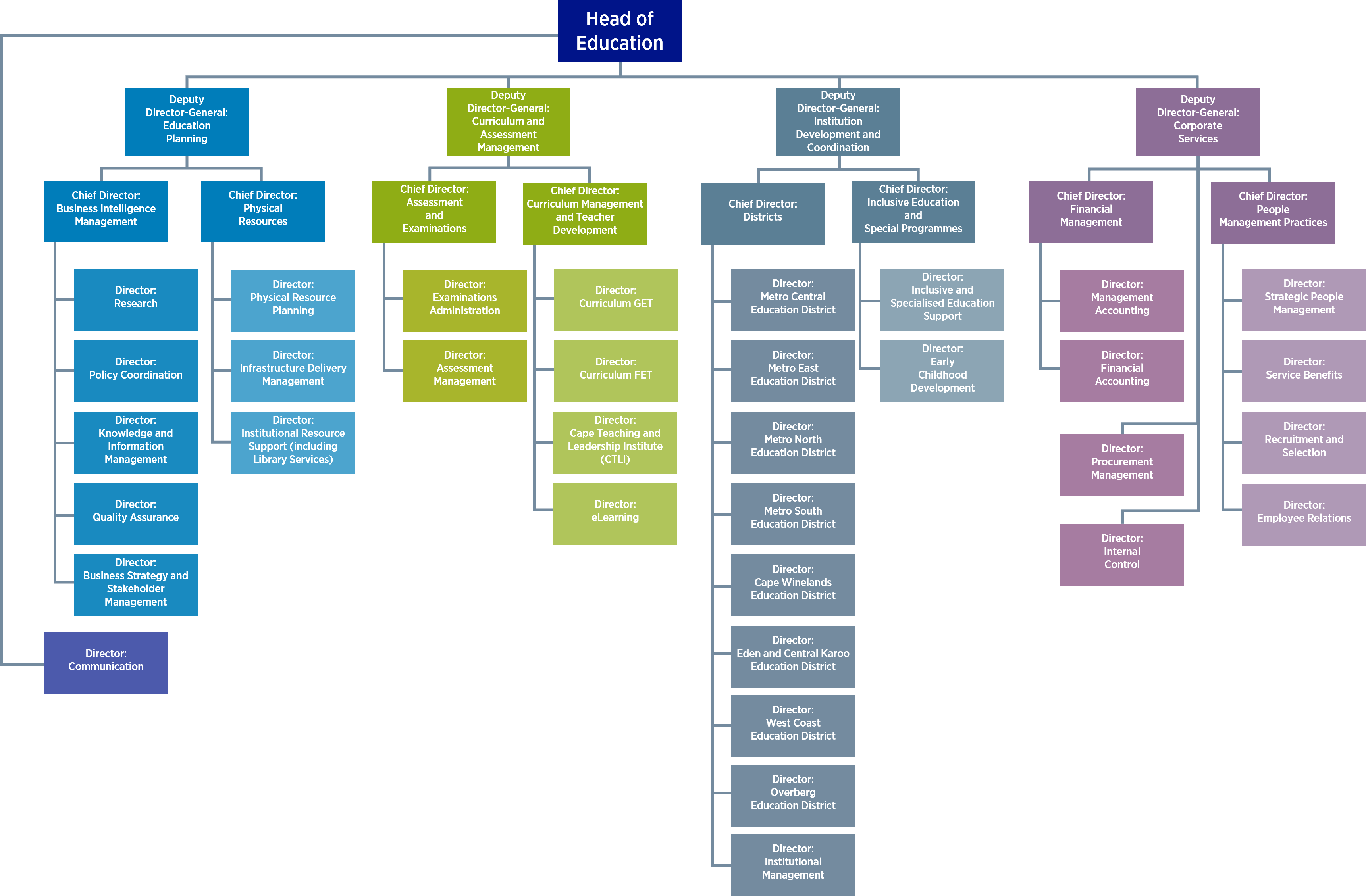 wced organogram
