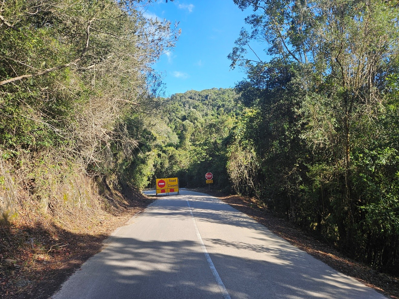 Road closure signs on MR355 at km9.4 (from Wilderness)