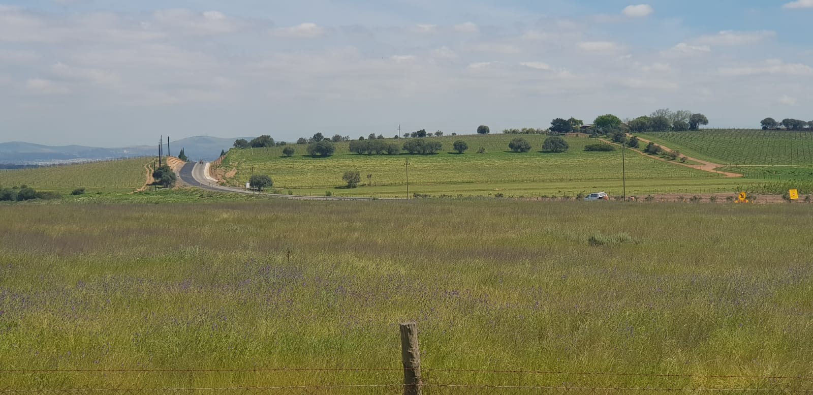 The start of the project with the Durbanville Hills in the background