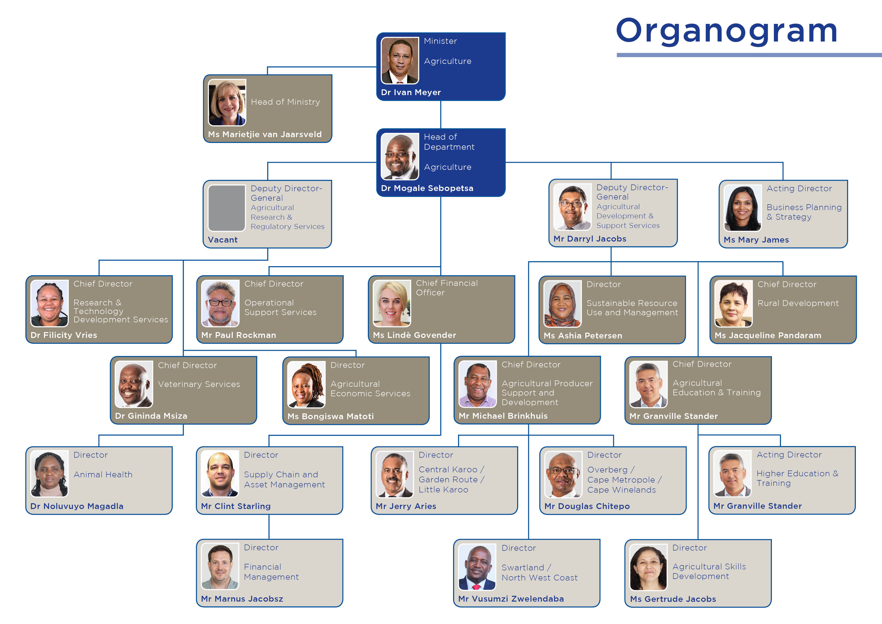 WCDoA Organogram