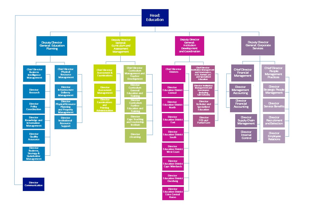 organogram-23-june-2026.jpg