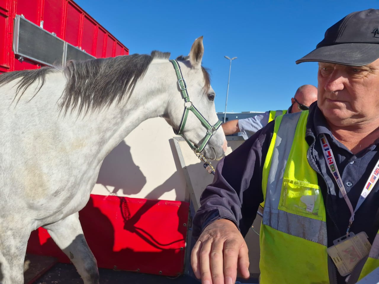 equine industry -2