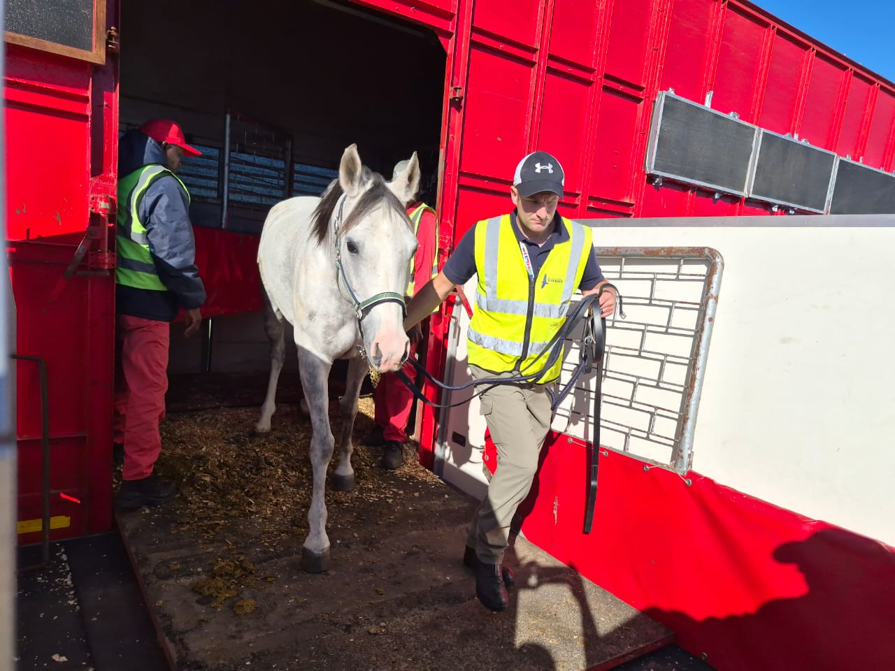 equine industry-3