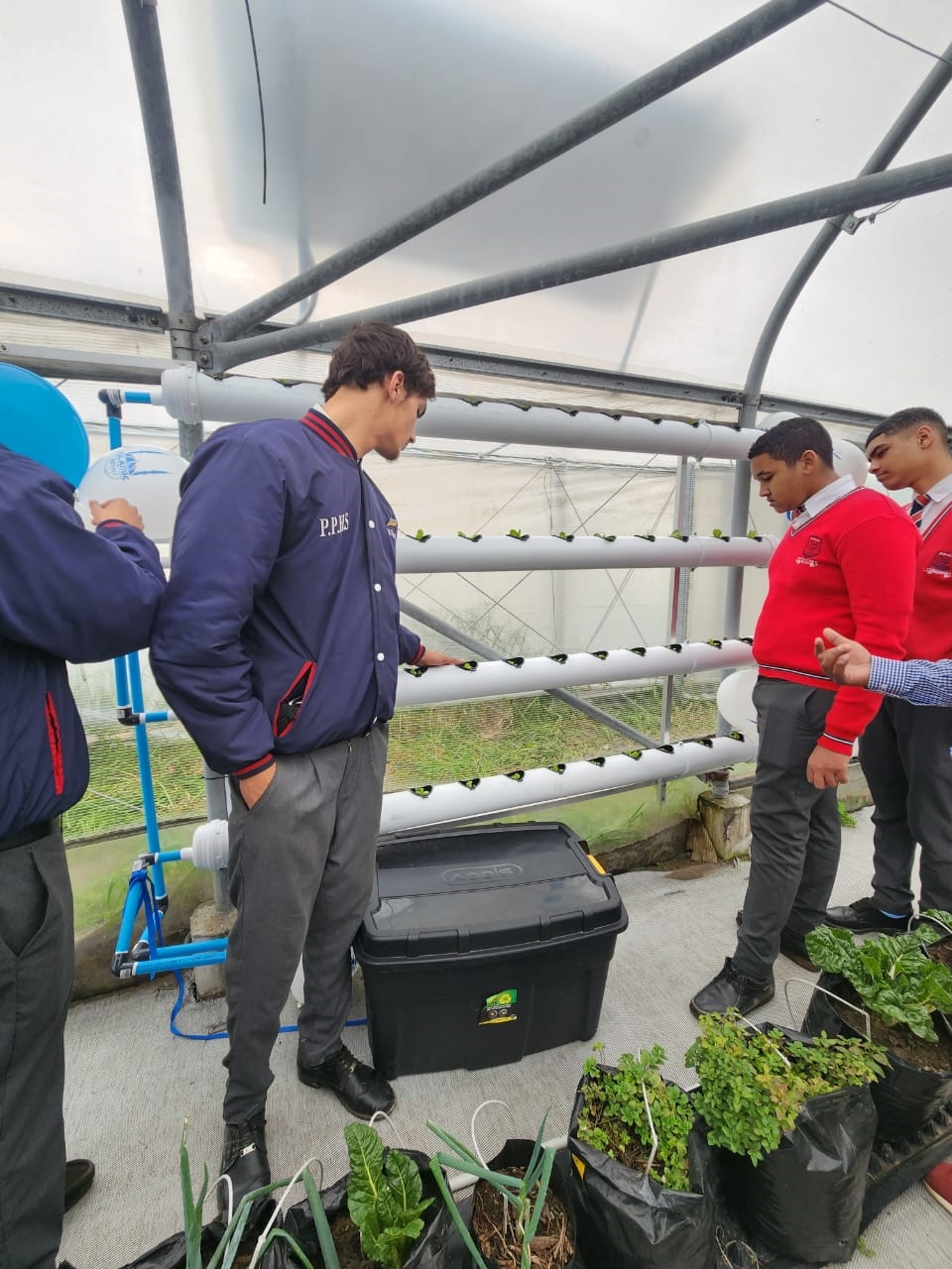 pelican-park-high-goes-green-with-hydroponics2.jpg