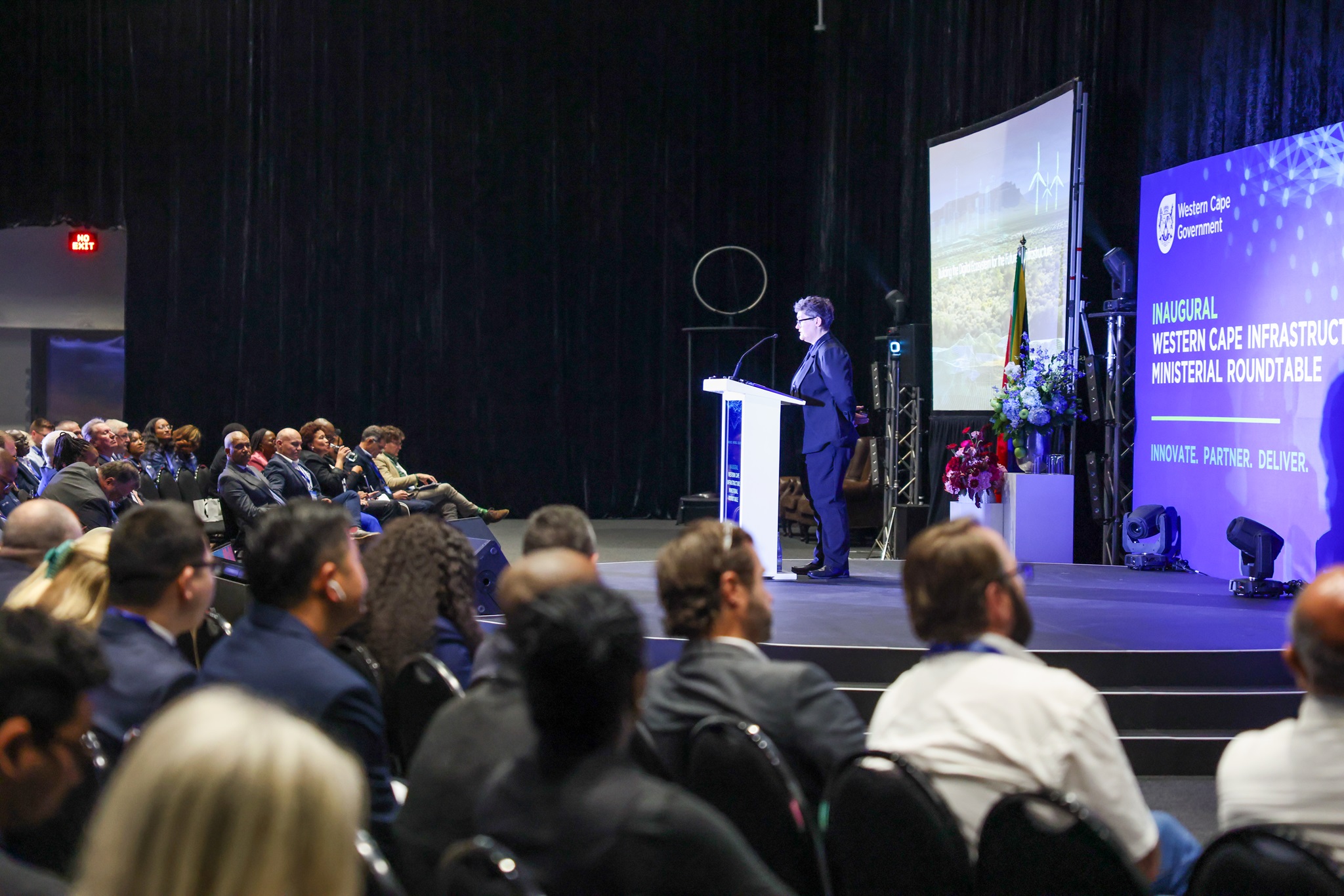 Rene Kok - Acting Deputy Director General: Public Works