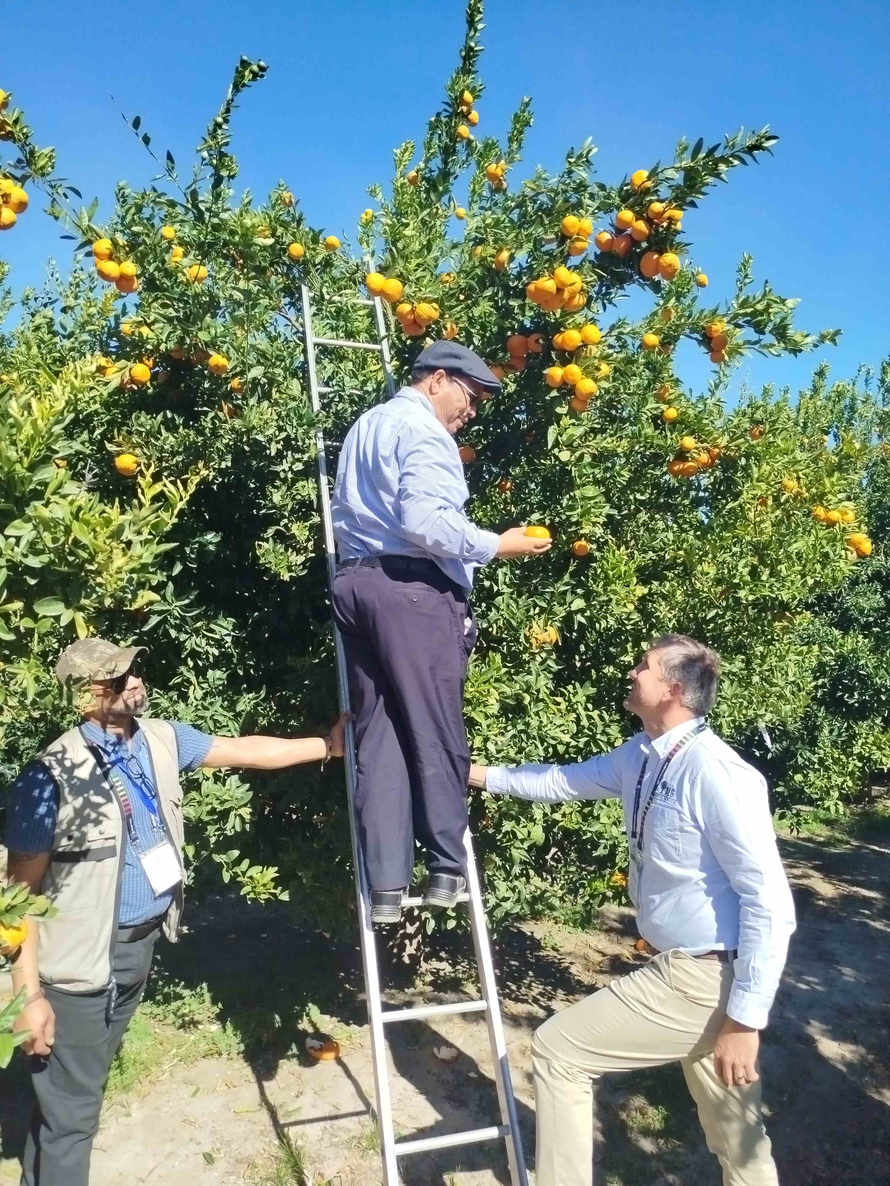 Minister Meyer and Gerrit van der Merwe