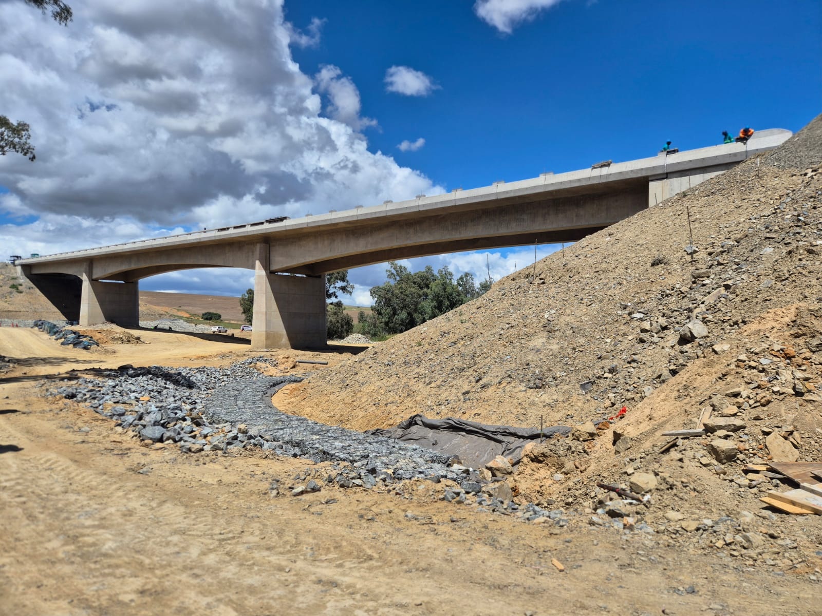 Bridge B6116 - the longest twin spine bridge in SA