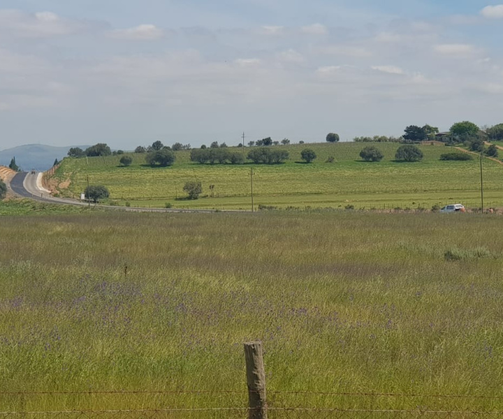 The start of the project with the Durbanville Hills in the background