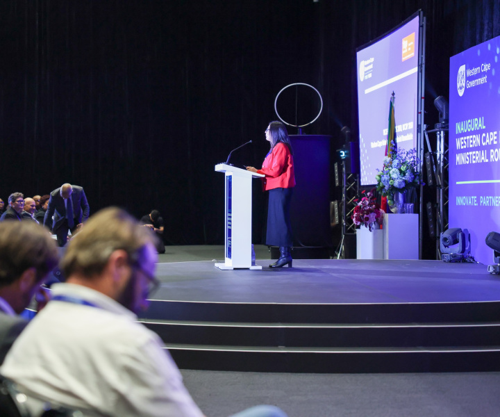 Labeeqah Schuurman - Deputy Director General: Strategy, Planning and Coordination