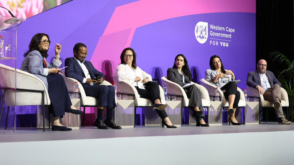 Panel discussion - From Pipeline to Portfolio : Making projects investment-ready