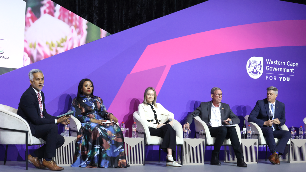 Panel session: Positioning the Western Cape on the Global Investment Map