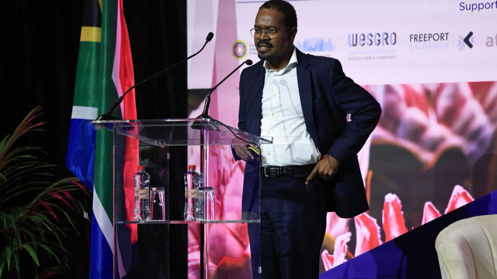 Mr. Vuyo Ntoi - Co Managing Director at African Infrastructure Investment Managers