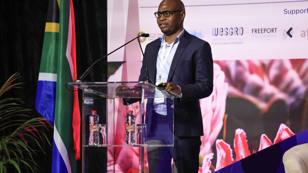 Mr. Maoto Molefane - Special Advisor for Special Economic Zones : DTI