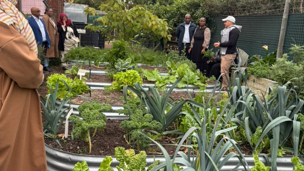 new-nursery-at-mary-kihn-school-to-strengthen-food-security2.jpeg