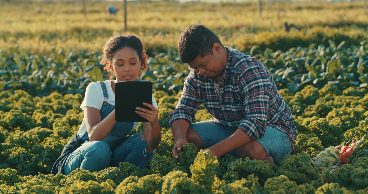 Agricultural internship