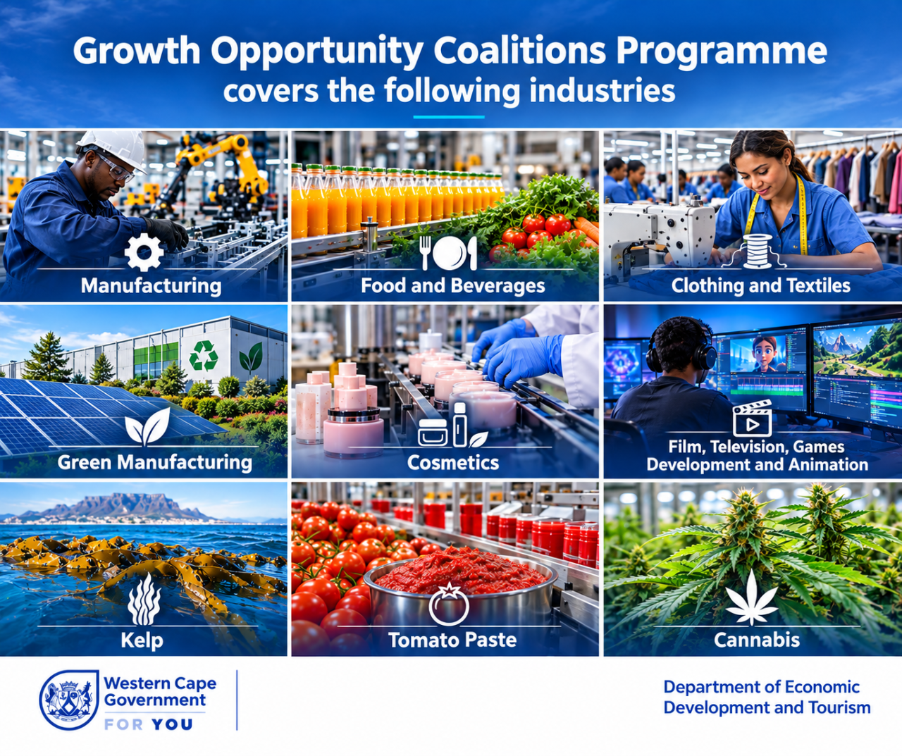 growth-sectors-in-western-cape-updated.png