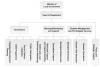 Department of Local Government Organogram