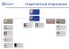 Organisation structure