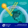 Greenhouse Gases