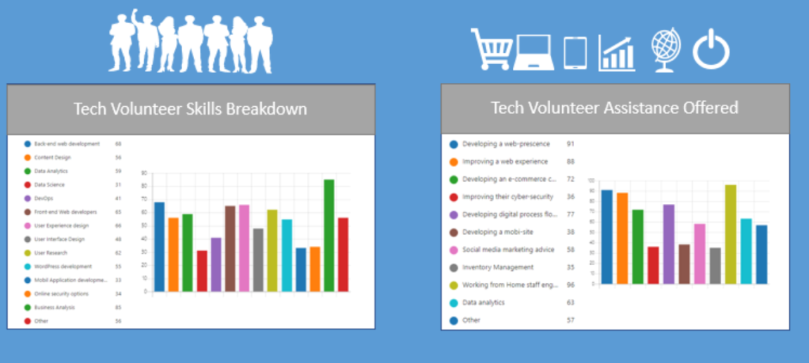 Tech volunteer initiative - Skills breakdown and volunteer assistance offered