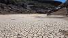 Calling on citizens to help combat desertification and drought