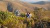 mcgregor_g.k._honeybush_mountains.jpeg
