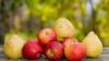Apples and Pears 