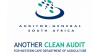 Clean Audit 