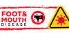 foot and mouth disease