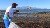 Minister cleaning at Robben Island