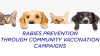 rabies awareness