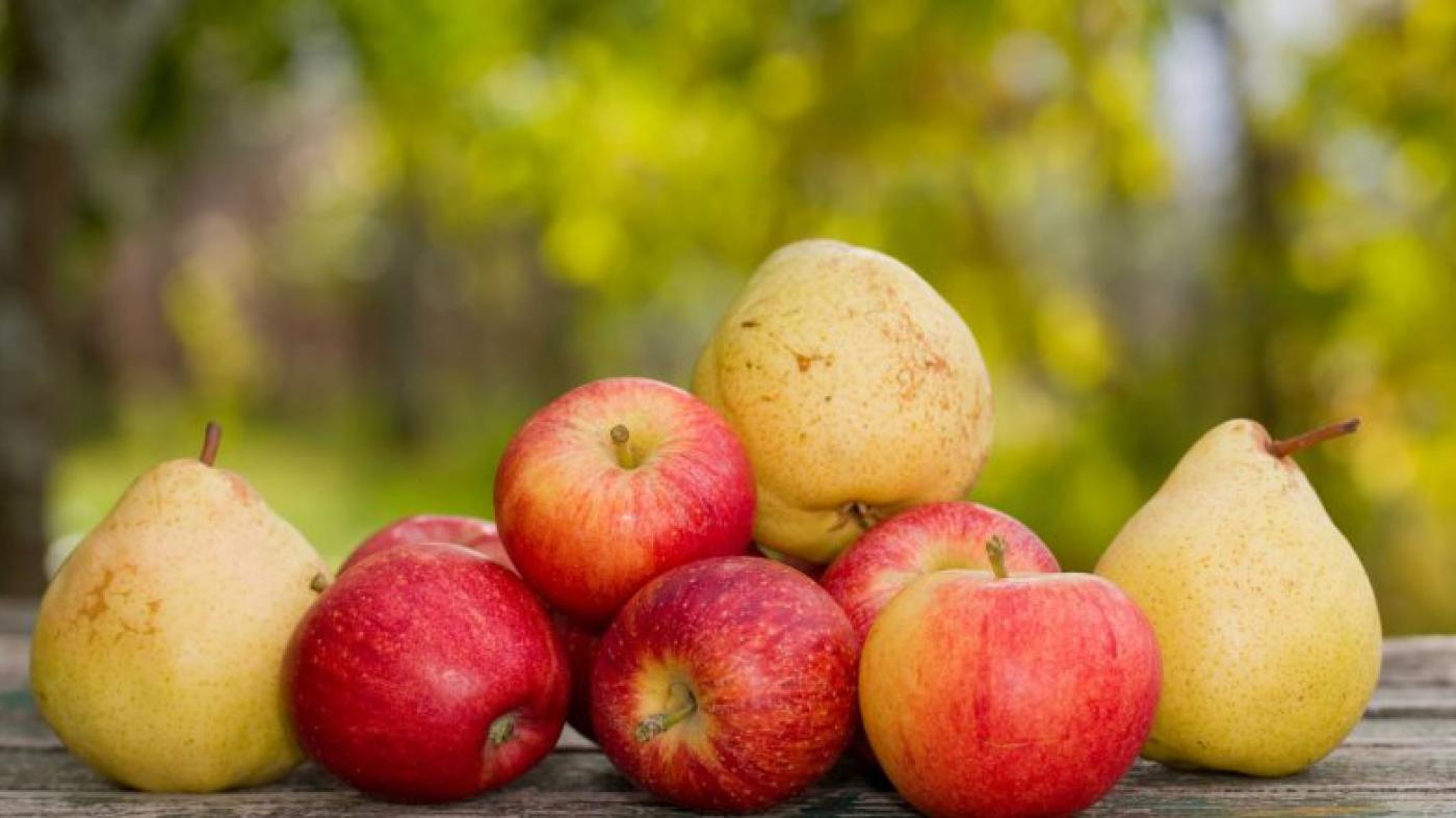 Port inefficiencies cost apple and pear farmers R26 000 per hectare