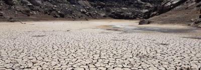 Calling on citizens to help combat desertification and drought