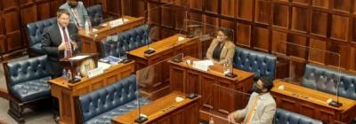 pero_mero_2020_david_maynier