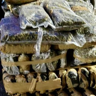 estern_cape_provincial_traffic_and_south_african_police_service_joint_operation_seized_r7_million_of_cannabis_2.jpg