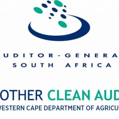 Clean Audit 