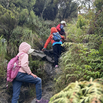 Three young children enjoying the steep hike up Devil’s Peak. 