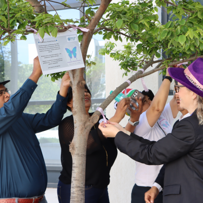 Minister Wenger is joined by other healthcare managers as they place ribbons and messages of hope on the Tree of Compassion at the Stellenbosch University Faculty of Medicine and Health Sciences.