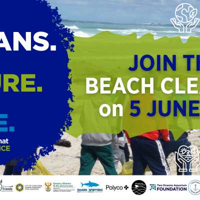 Beach cleanup